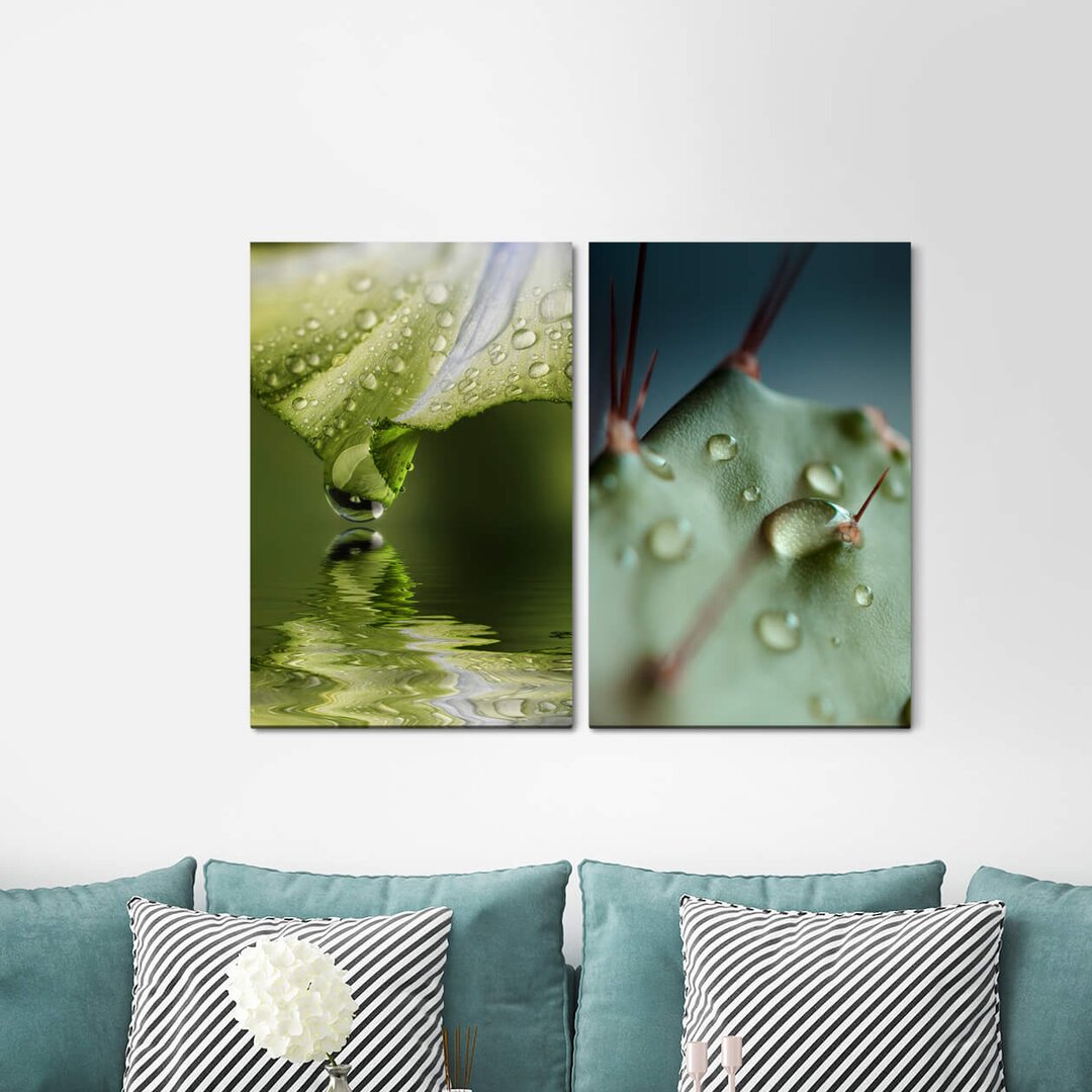 2-tlg. Leinwandbilder-Set - Fotografie „Stream Green Flower Water Pearl Cactus Sting Nature”