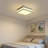 Flush Mount  Ceiling Light
