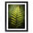 Black Framed selected