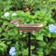 Bain d'oiseaux Brander-1041282362