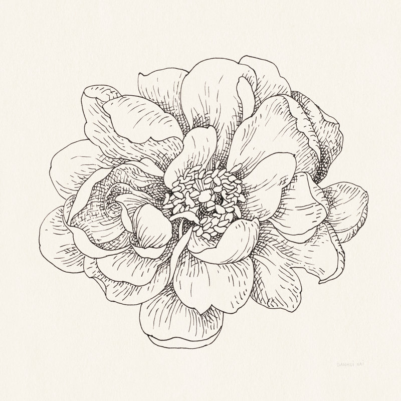 Stylo et encre florales IV, H 20 po x l 20 po