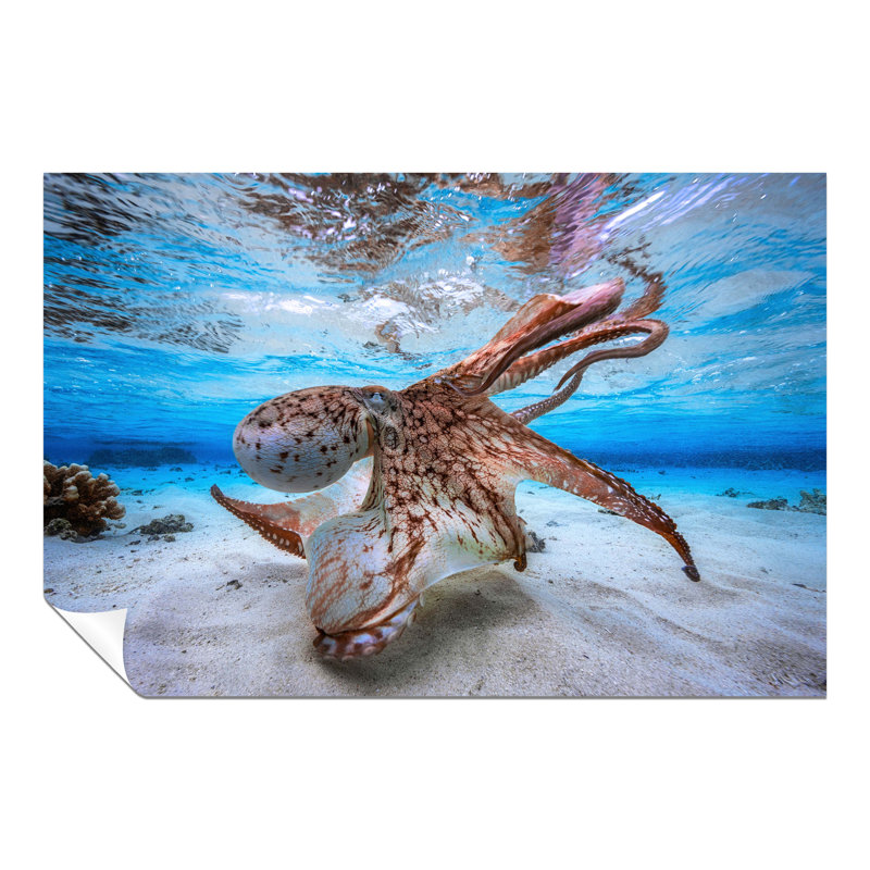 Dancing Octopus Underwater - No Frame Print, 46cm H x 31cm W