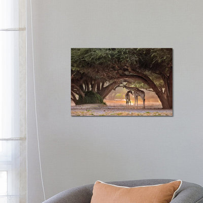 Giraffe - Namibia by Giuseppe Damico - Wrapped Canvas Gallery-Wrapped Canvas Giclée
