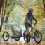 Bike Cover