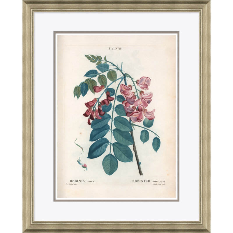Bristly Locust Framed by Paul Cezanne