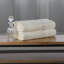 Ensemble de serviettes de bain 100% coton 2 pièces Lyndon-998509836
