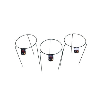 Caziyah Metal Plant Support