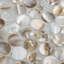 Conchella Penny Natural 11-1/4" x 11-5/8" Natural Shell Mosaic Tile