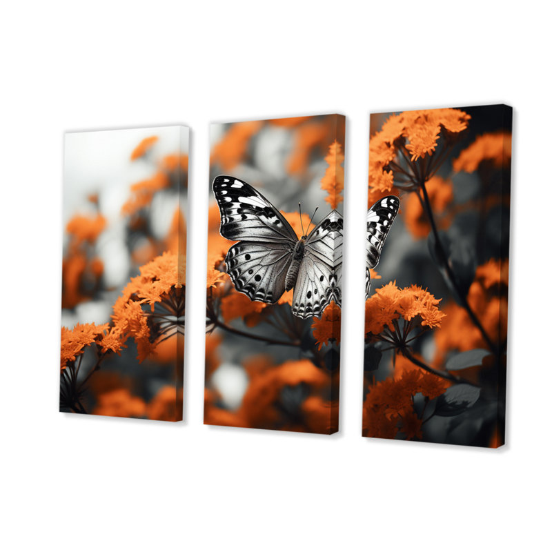 Papillon corail noir flottant grâce 3 pièces, H 28 po x l 36 po x P 1 po