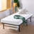 Sommier 14 po SmartBase Essential-75305618