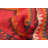 Rizbaft Red Rug 3'6" x 6'5"