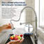 Rebrilliant 558.8 mm W Single Bowl Stainless Steel Drop-In Kitchen Sink