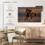 Cheval de plage Brampt-108693686