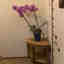 Customer photo 5 of 6