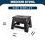 Medium Folding Plastic Step Stool Black
