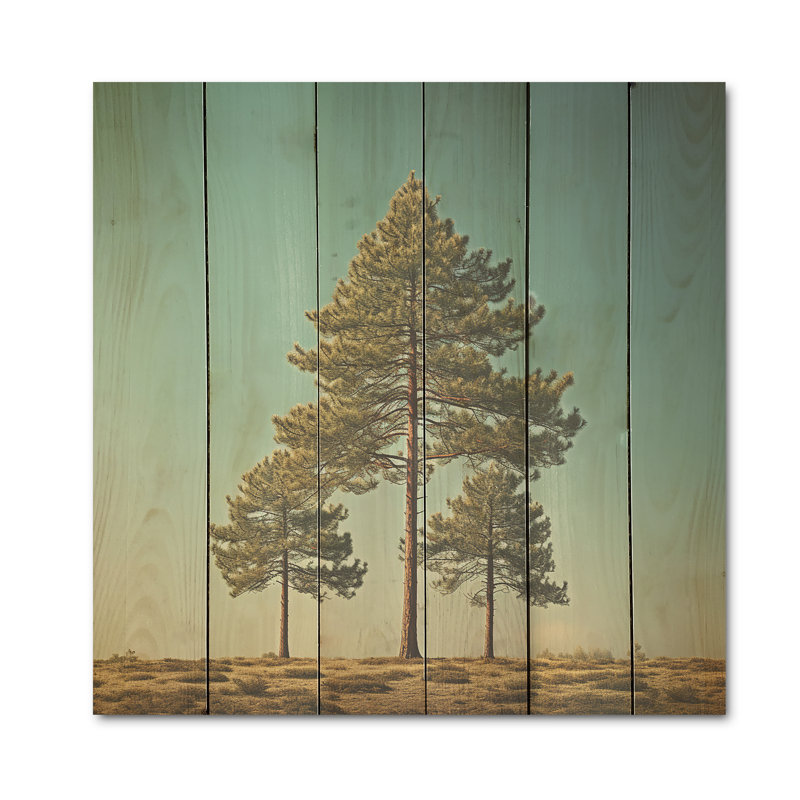 «Pine Tree Perspectives in Forest I», art sur bois de pin naturel, H 15 po x l 15 po