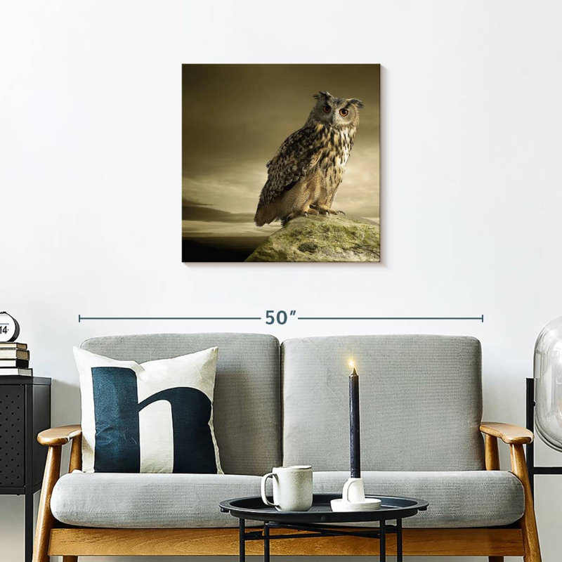 Brampt Owl On A Rock