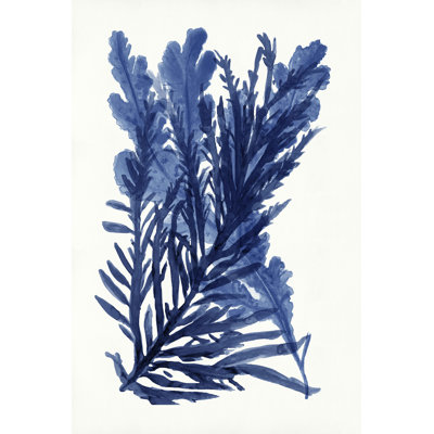 Indigo océan III