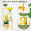 Support pour plante rond multiniveaux-35255792