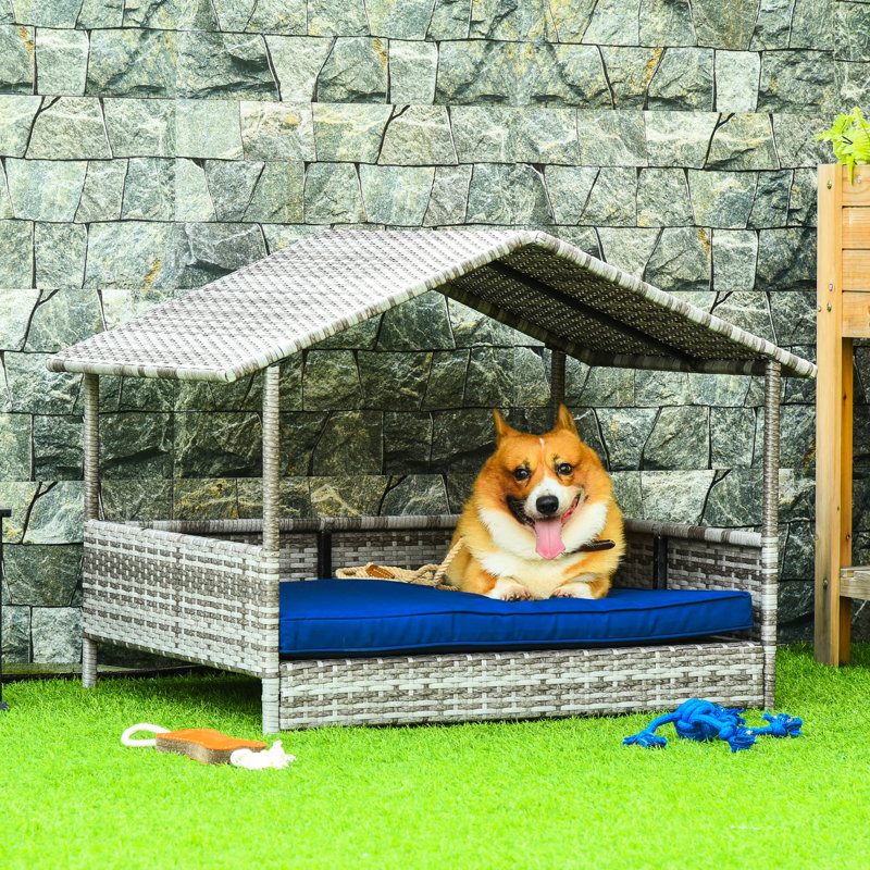 Niche pour chien bleu foncé pour l'extérieur