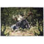 Tapis Moose-81437480