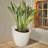 Marazzi Double Walled Tapered Pot Planter-84050111-89842158