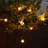 Gustave Indoor 10 - Bulb 12'' Plug-in Globe String Light