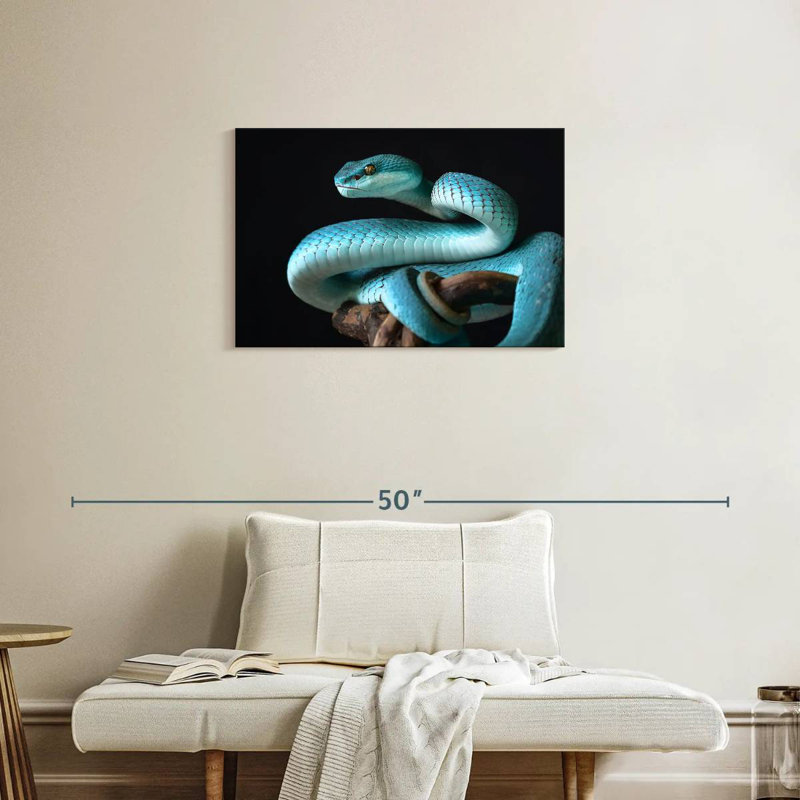 Brampt Blue Sunda Island Pitviper, 20" H x 30" W