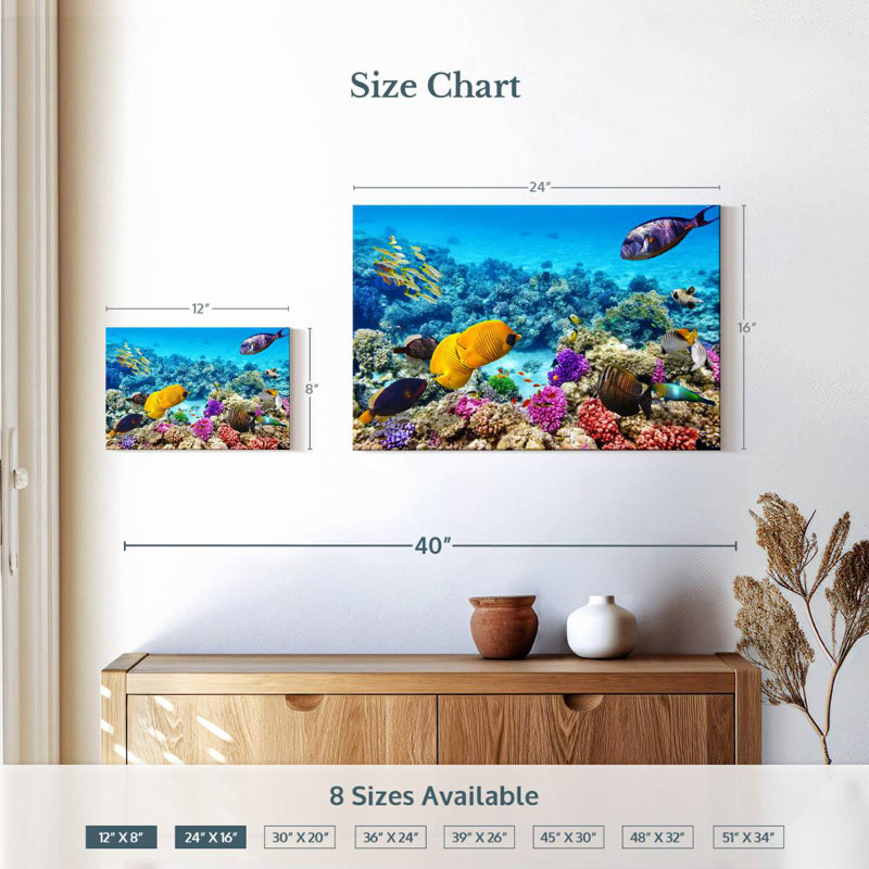 Ocean life Aletra, H 16 po x l 24 po
