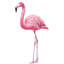Flamingos Wall Decal