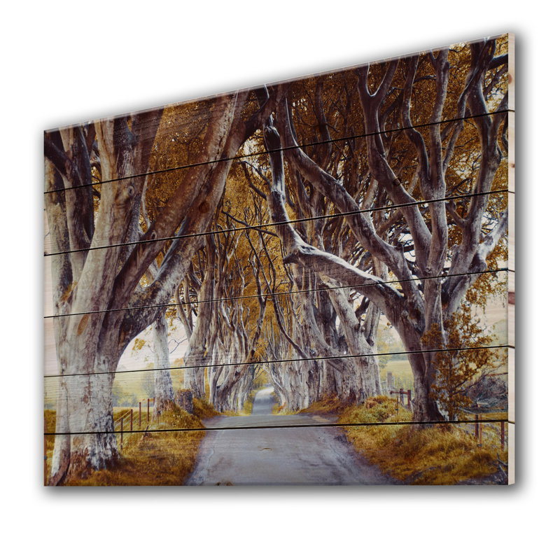 " Majestic Tree Alley " Painting Print, 36" H x 46" W x 1.5" D