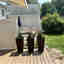 Customer photo 1 of 2