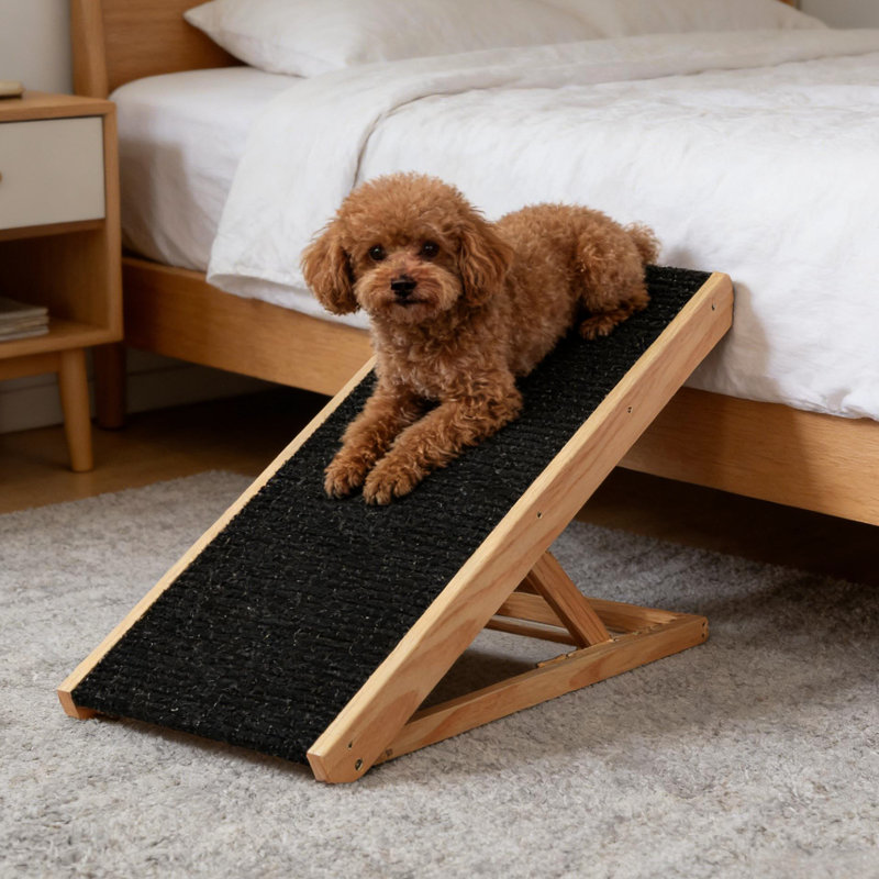 Rampe réglable pour animaux de compagnie d'intérieur, réglage de la hauteur à quatre vitesses, plateforme en pin glissant, chien sans assemblage avec hauteur, conception pliable, surface et matériau