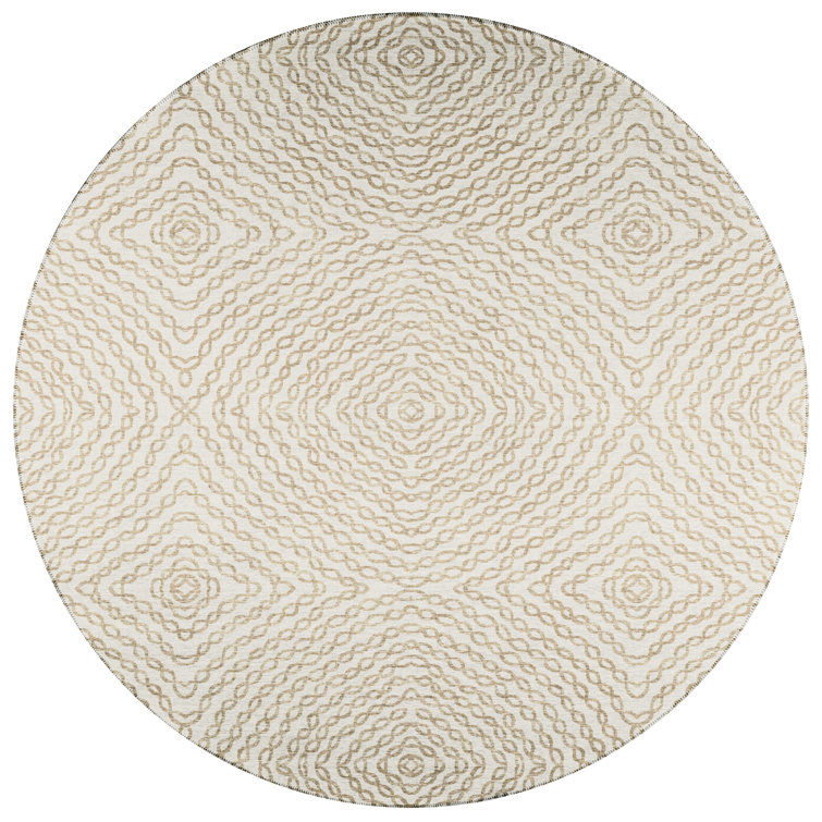Araoluwa Chenille Washable Oriental Rug