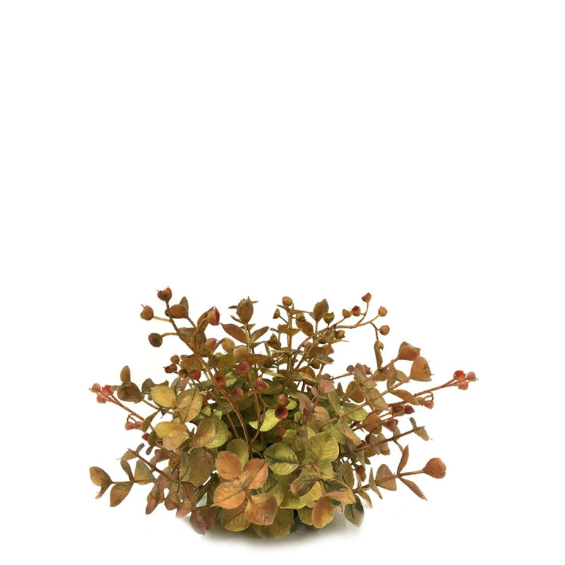 Bellow Landscape & Nature Vase Filler