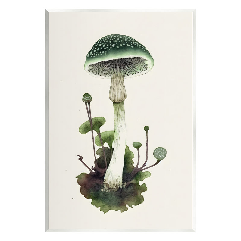 Bb-063 - Champignon vert forêt sur toile, H 15 po x l 10 po x P 0,5 po