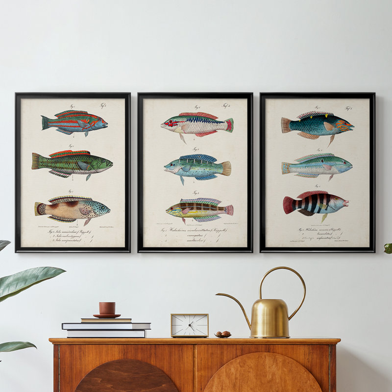 Antique Fish Trio I - Toile tendue avec châssis sur mesure - 3 pièces, H 21 po x l 30 po