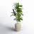 48" H Foliage Plant in Ceramic Planter