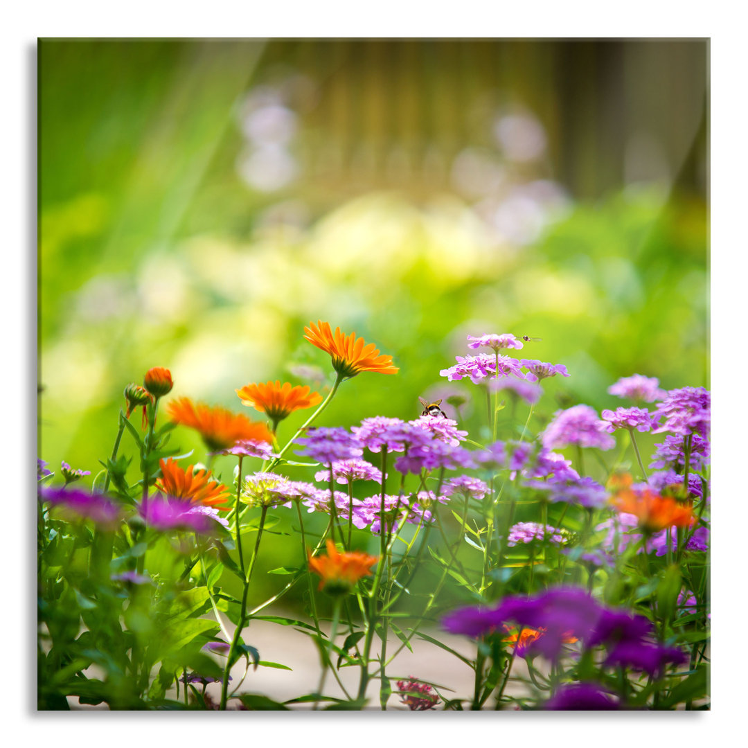 Glasbild Gartenblumen auf Wiese