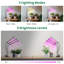 YHSNFJING Grow Light