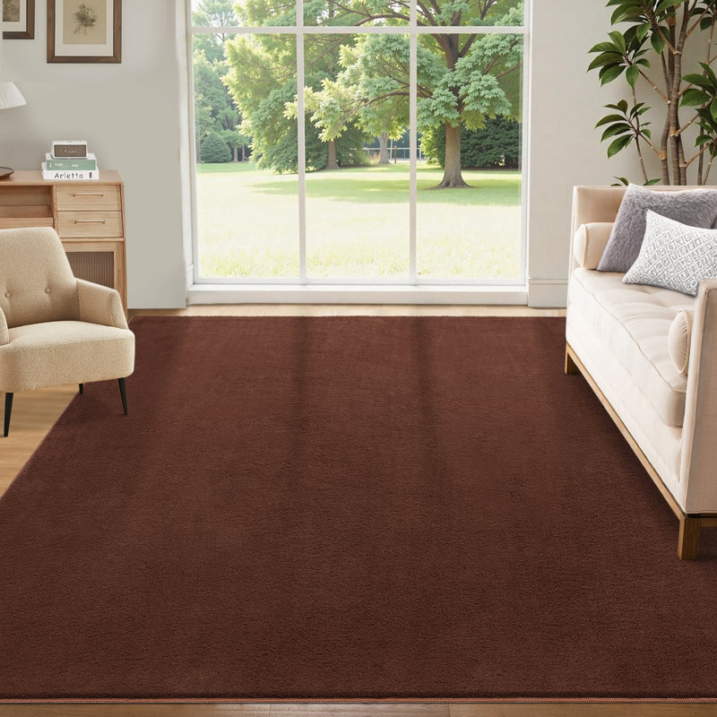 Machine Washable Rug Super Soft Fluffy Area Rug for Bedroom Modern Shaggy Rugs Fuzzy Kids Room Rug Plush Indoor Non-Slip Accent Carpet for Nursery Living Room Home Decor