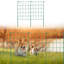 GREEN Garden Fence 35 Panels 35PCS