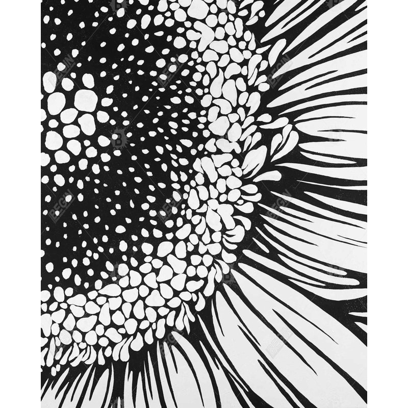 Gerbera sur toile botanique noire - Art de la décoration intérieure, 60" H x 48" W