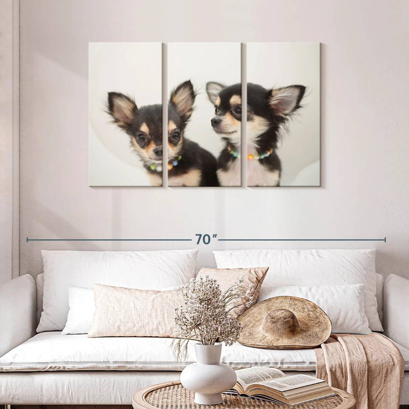 Chihuahua Duo, H 28 po x l 45 po