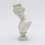 Ivory Neo-Classical Bust Sculpture – Matte Resin Decorative Accent (35 cm) 