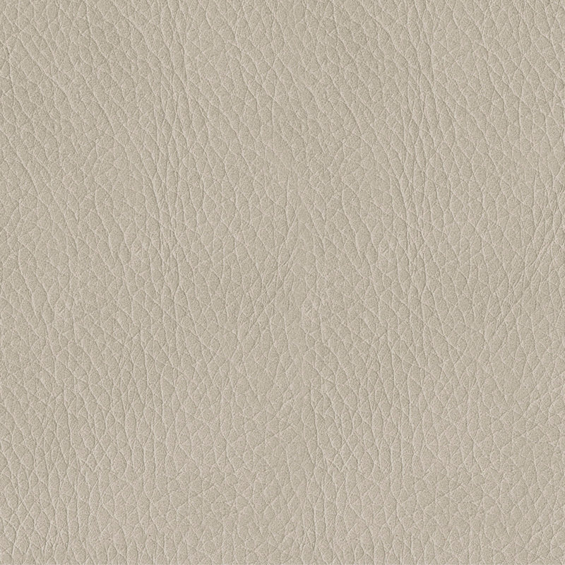 Roundhill Furniture Holmes Leather Upholstered Loveseat, White