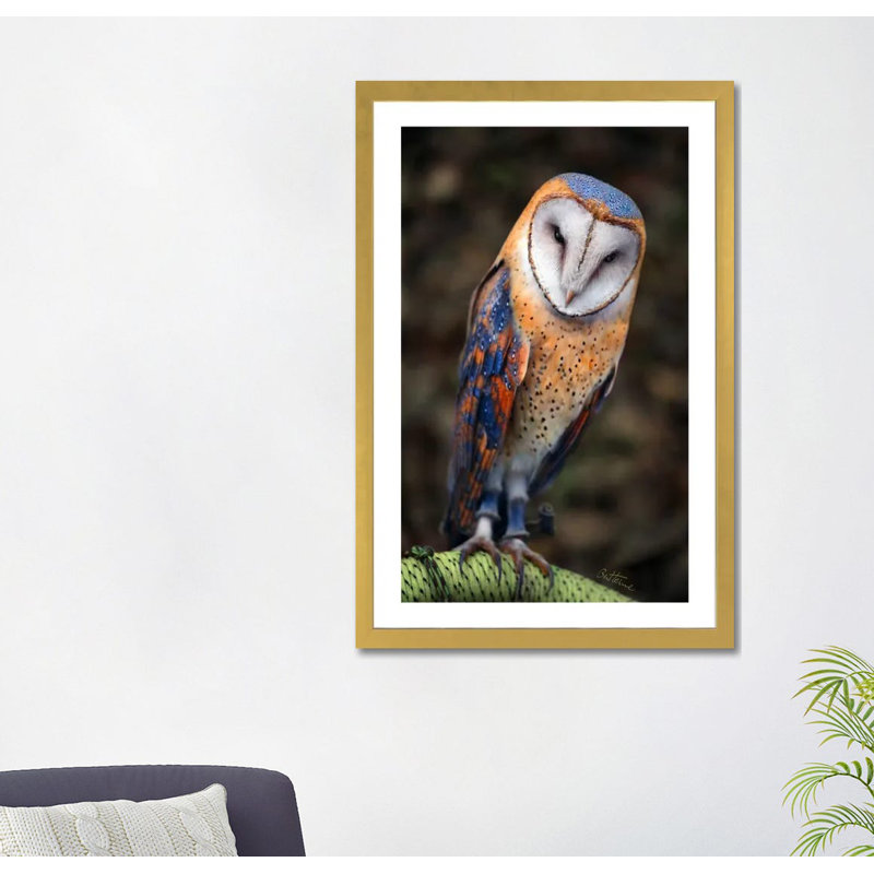 Chouette hibou par Ben Heine-reproduction de photo, H 24 po x l 16 po x P 1 po, Papier encadré noir, Blanc