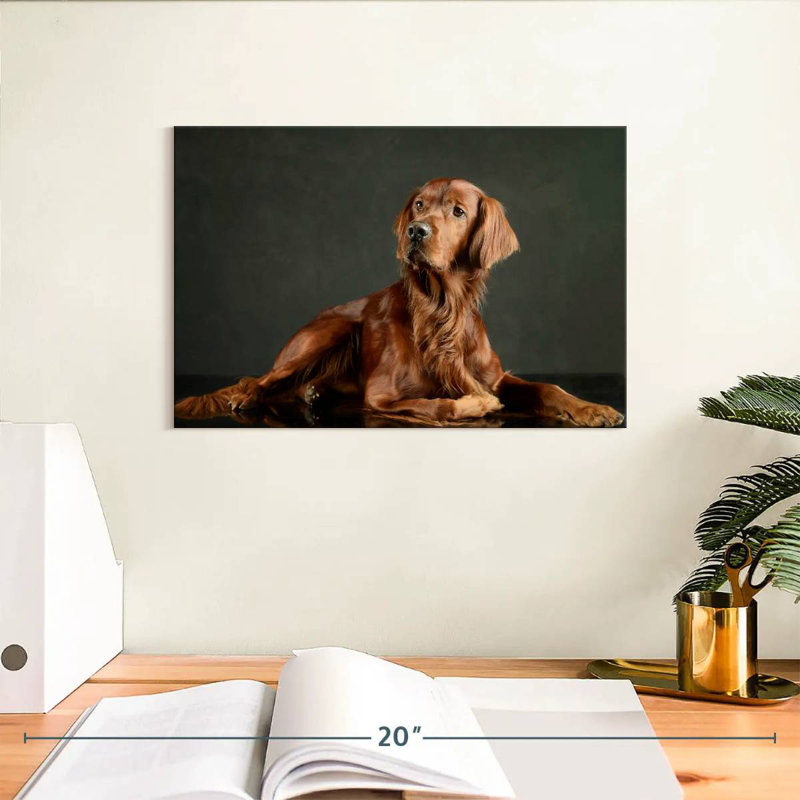 Loyal Irish Setter, 8" H x 12" W