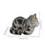 Animals Polyresin Garden Statue-720558221