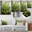 Ferns Plant Timeless Elegance IV - impressions murales florales et botaniques en métal-980310515